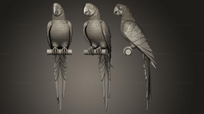 Статуэтки птицы (Попугай, STKB_0059) 3D модель для ЧПУ станка